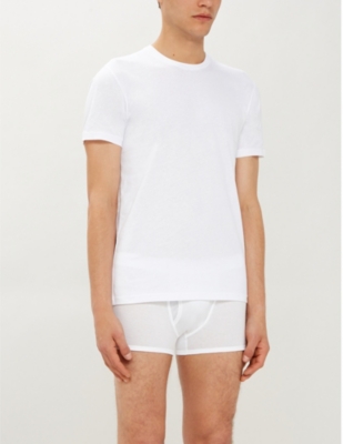 RALPH LAUREN Two pack cotton v-neck t&ndash;shirts