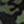 Green camo