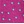 Fuschia