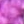 Purple/black