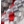 Grey red