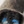 Black blue
