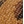 Brown multi