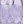 Lilac/white