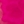 Tulip pink