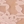 Desert rose