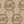 Bg/gold/tan