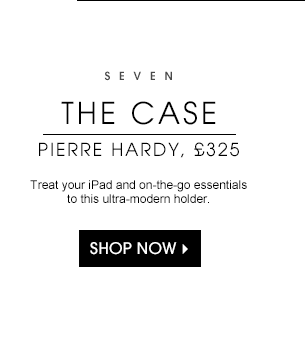 SEVEN - THE CASE
