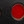 Black/red