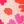 Tan floral prnt