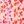 Tan floral prnt