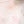 Rasberry