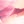 Peony pink