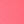 Rose vif