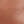 Cinnamon stick multi