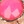 Knockout pink multi