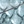 Shale grey multi