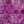 Grape multi