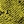 Chartreuse snake