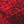 Red snake