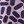 Palm forest pink
