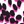 Leop spot raspberry