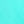 Parakeet