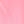 Pink rose