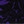 Purple black