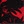 Red black