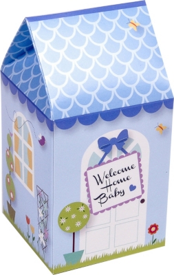 BLUEBIRD Welcome Home Baby bodysuit and bib set 3-6 months