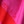 Red fuschia bleach