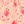 Pink multi