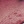 Berry glace