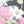 Flourishing floral