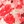 Crimson floral