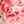 Crimson floral