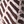 Zebra palm
