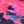 Acid floral pink