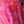 Acid floral pink