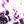 Bright multi