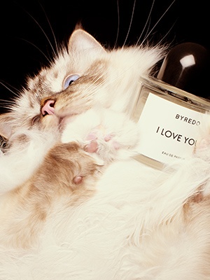 BYREDO
