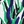 Green multi
