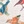 Bird print