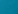 Duck blue