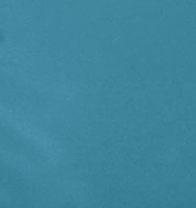 Duck blue