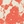 Fire orange multi