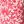 Peony boubou