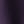 Intricate plum