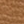 Deer brown